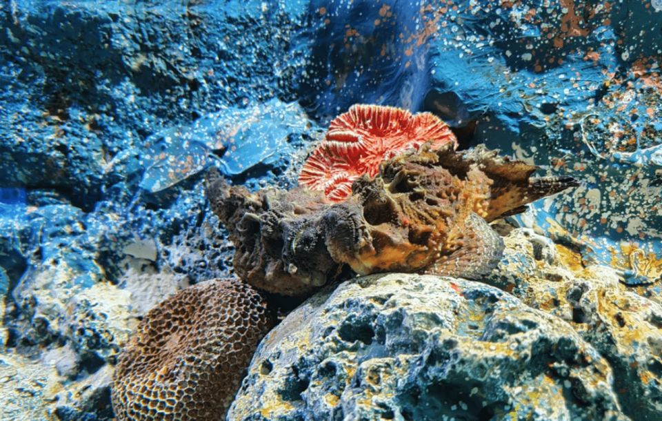 Pattaya: Under Water World - Interaction at Touch Pool Zone