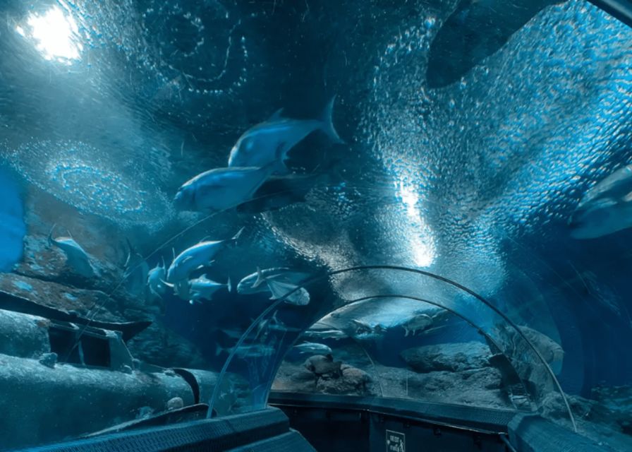Pattaya: Under Water World - Frequently Asked Questions