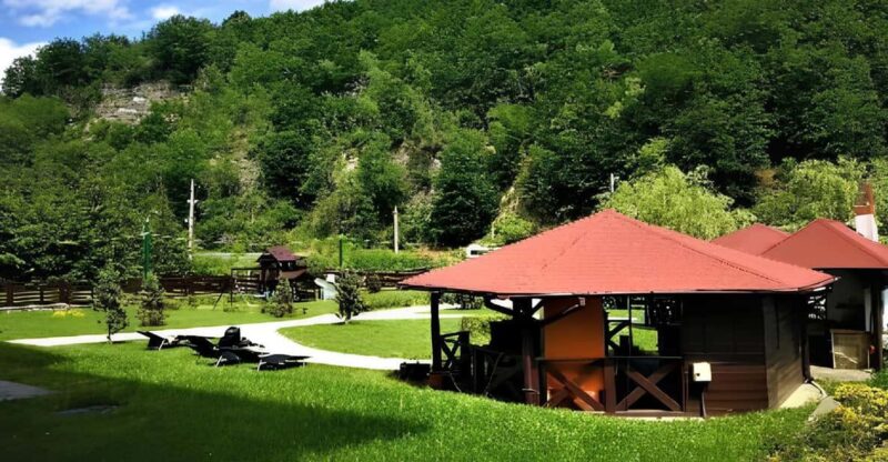 PEACEFUL HOLIDAY IN THE VALEA VÂLSANULUI-BRĂDET - Booking Your Getaway