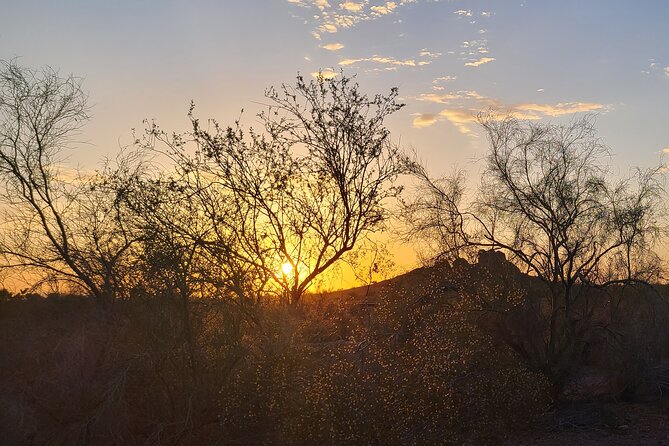 Peaceful Morning Walk Review: A Desert Adventure - Photographic Opportunities Abound