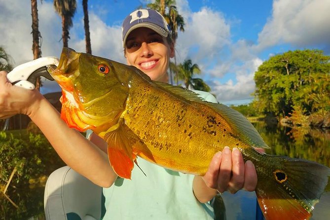 Peacock Bass Fishing Trips Near Miami Florida - Fishing Techniques