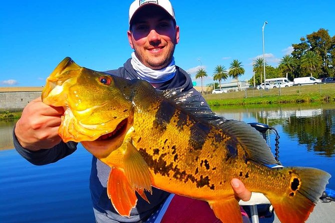 Peacock Bass Fishing Trips Near Miami Florida - Good To Know