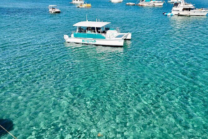 Peanut Island Sandbar and Swim Tour - Key Points