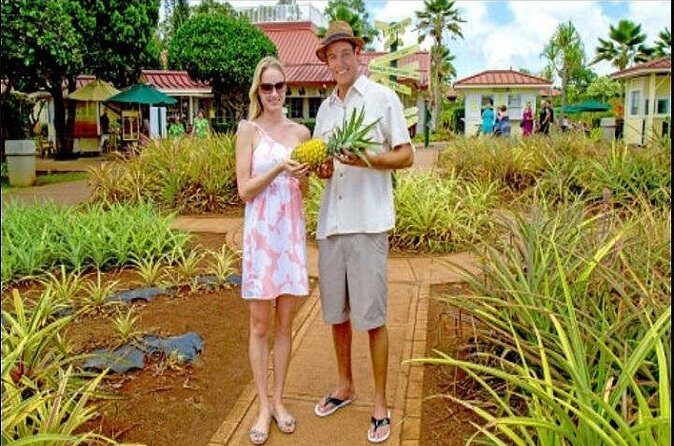 Pearl Harbor and Mini Circle Island from Kauai - FAQ