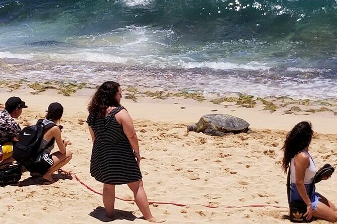 Pearl Harbor, Dole, N.Shore luxury group priced Customizable tour - The Sum Up