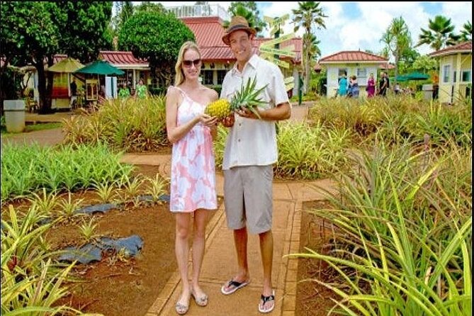 Pearl Harbor, Dole Plantation, and Polynesian Center From Kauai - Good To Know