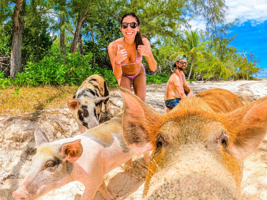 Pearl Island: Pigs Beach With Lunch - Frequently Asked Questions