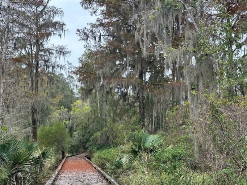 Pearlington: Devil's Swamp Eco Walking Tour - Pearlington: Devil’s Swamp Eco Walking Tour — a balanced look at Mississippi’s natural and cultural treasures