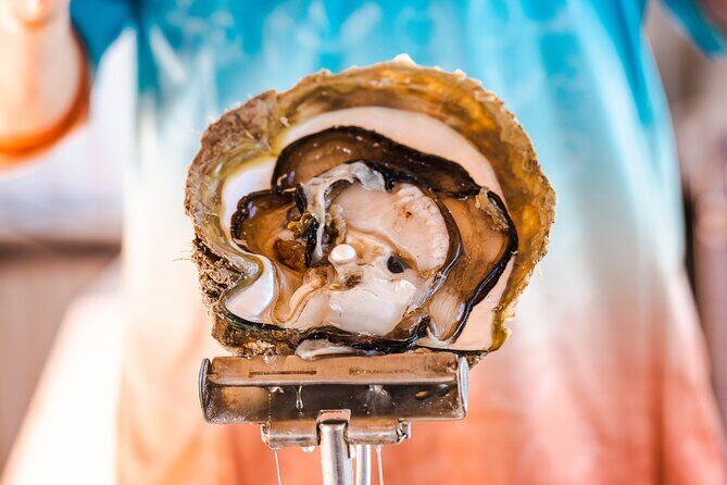 Pearls & Coast: 35-Minute Helicopter Flight & Willie Creek Tour - A Deep Dive into the Experience