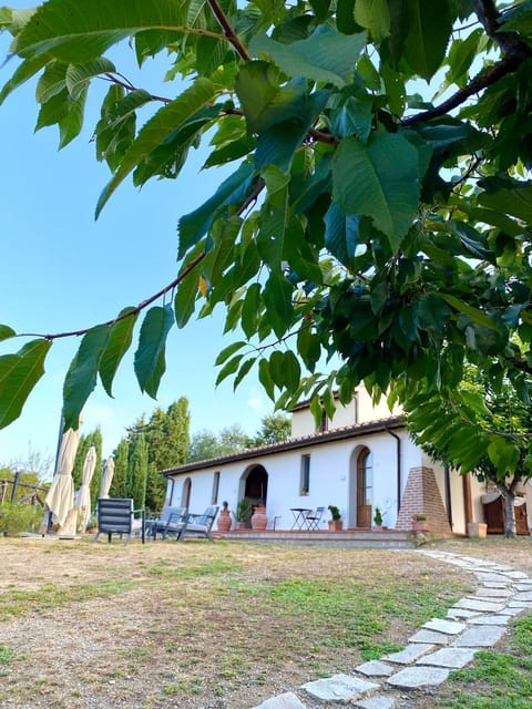 Peccioli: Wine Tasting Experience - Key Points