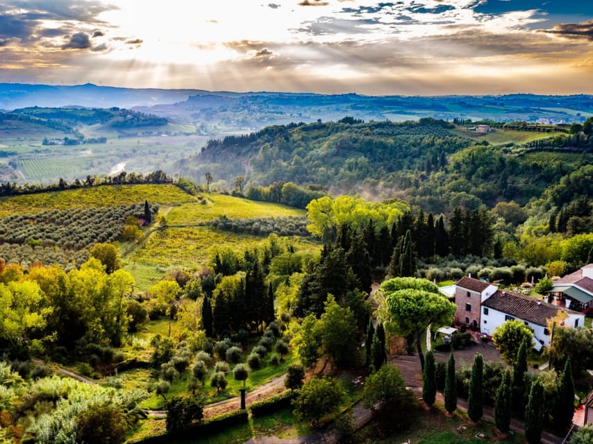 Peccioli: Wine Tasting Experience - The Tasting Experience