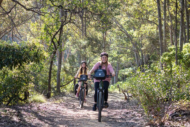 Pedal and Picnic in Tathra E-Bike Self-Guided Picnic Tour - The Picnic: Gourmet and Thoughtfully Curated