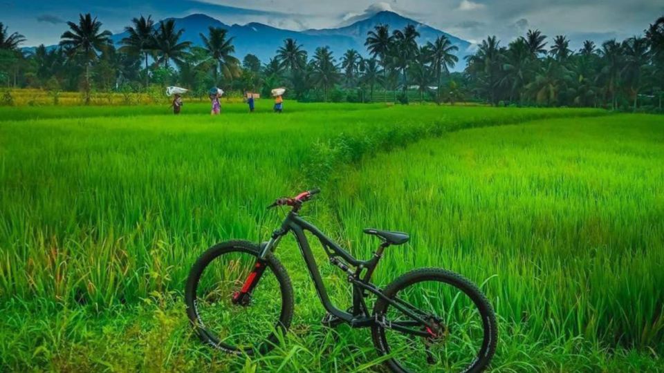 Pedal Bike Through Rice Terraces, Forests and Lawang Caves - Highlights of the Bike Tour