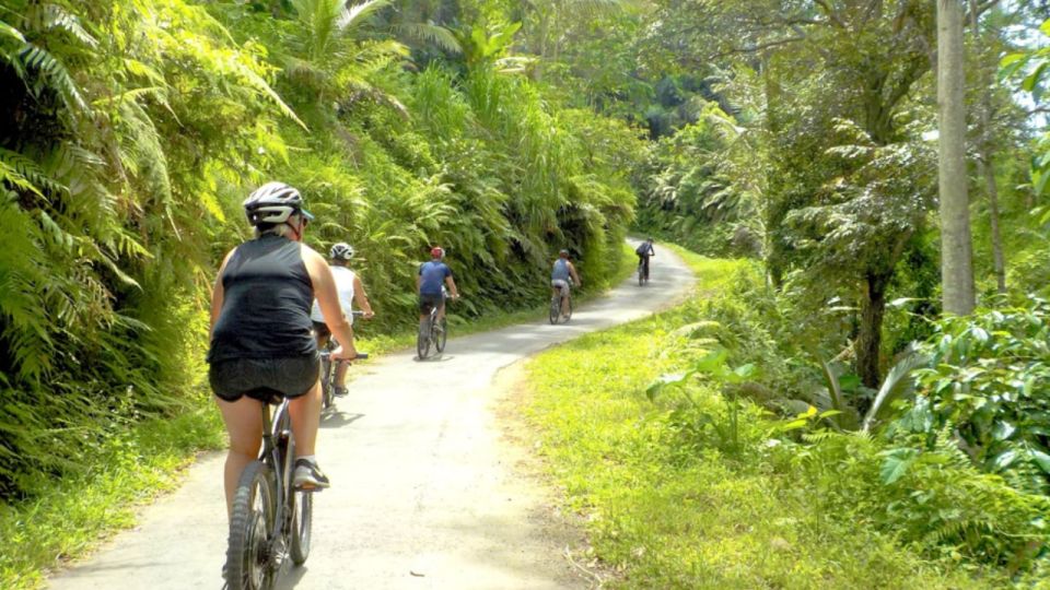 Pedal Bike Through Rice Terraces, Forests and Lawang Caves - Itinerary and Duration