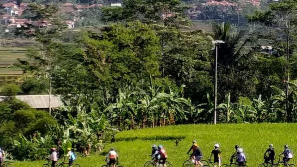 Pedal Bike Through Rice Terraces, Forests and Lawang Caves - Trekking Through Plantations and Forests