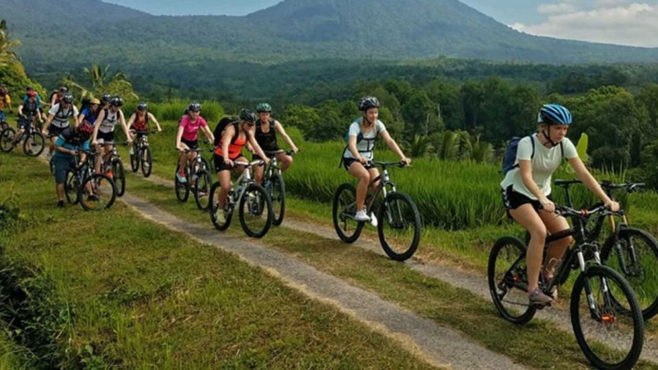 Pedal Bike Through Rice Terraces, Forests and Lawang Caves - Frequently Asked Questions