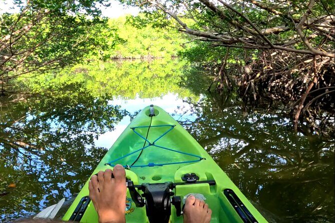 Pedal Kayak Mangrove Tunnel Tour in Bradenton - Key Points