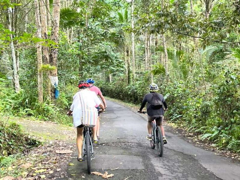 Pedal Through Paradise: Bali Wanderlust Sidemen Cycling Tour - Practical Details