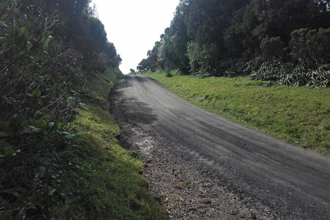 Pedestrian Walk Vista do Rei  Sete Cidades(Half day) - Key Points