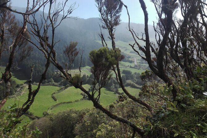 Pedestrian Walk Vista do Rei  Sete Cidades(Half day) - The Value of This Experience