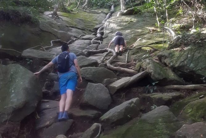 Pedra Da Gavea Hike - Best Prices - Small Groups - Tour Details