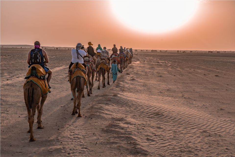 Peeps Non Touristic Camel Safari & Stargazing Experience - Key Points