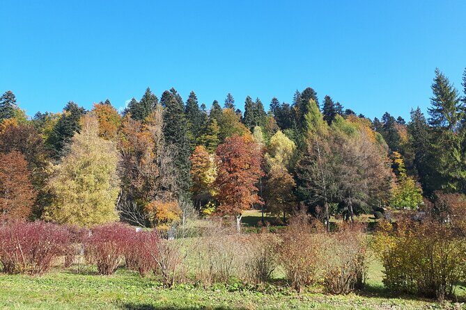 d23067-38989p56