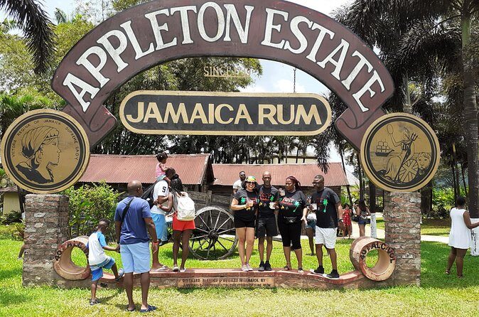 Pelican Bar, Appleton Rum Tour, YS Falls Jamaica south coast experience Montego - YS Falls: A Natural Wonder