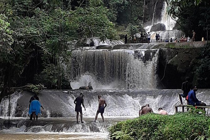 Pelican Bar, Appleton Rum Tour, YS Falls Jamaica south coast experience Montego - Critical Considerations