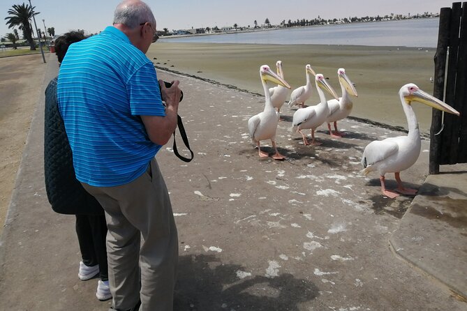 Pelican Point Tours,Lagoon Tours, Dune7 Adventure - Accessibility and Participation