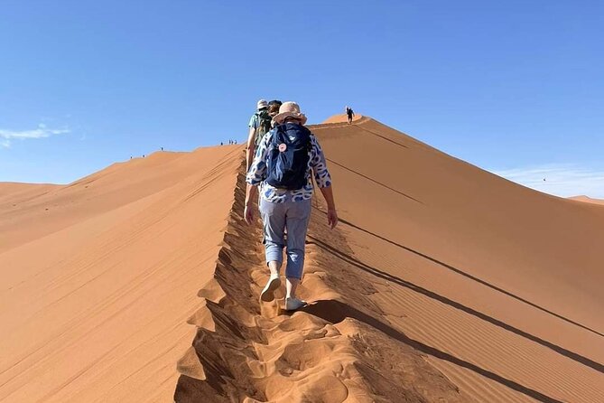 Pelican Point Tours,Lagoon Tours, Dune7 Adventure - Frequently Asked Questions