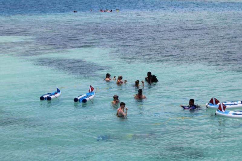 Pelican Rock: SNUBA Underwater Experience with Guide - Key Points