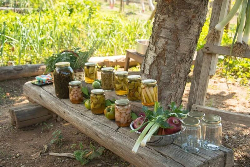 Pelion Private Nature Experience : Farm-to-Table Cooking - Final Thoughts: Is It Worth It?  