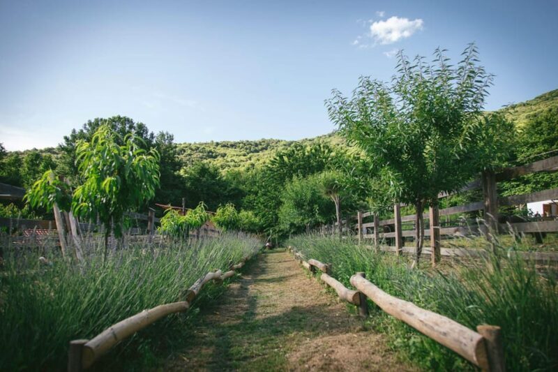 Pelion Private Nature Experience : Farm-to-Table Cooking - FAQ