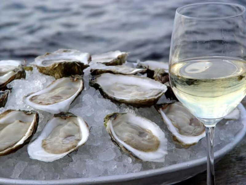 Peljeac Wine & Oyster Tasting Private Tour - Key Points