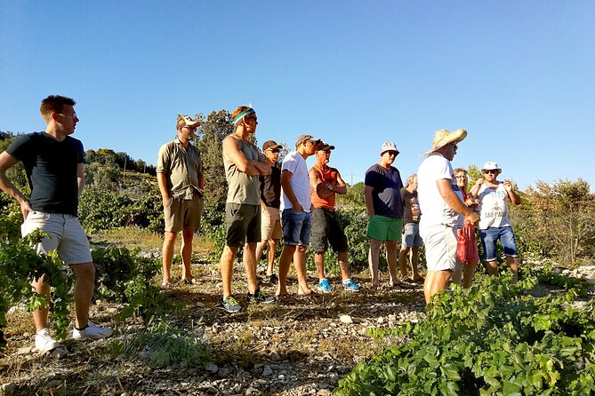 Peljesac&Ston Small-Group Food & Wine Experience From Dubrovnik - Customer Reviews