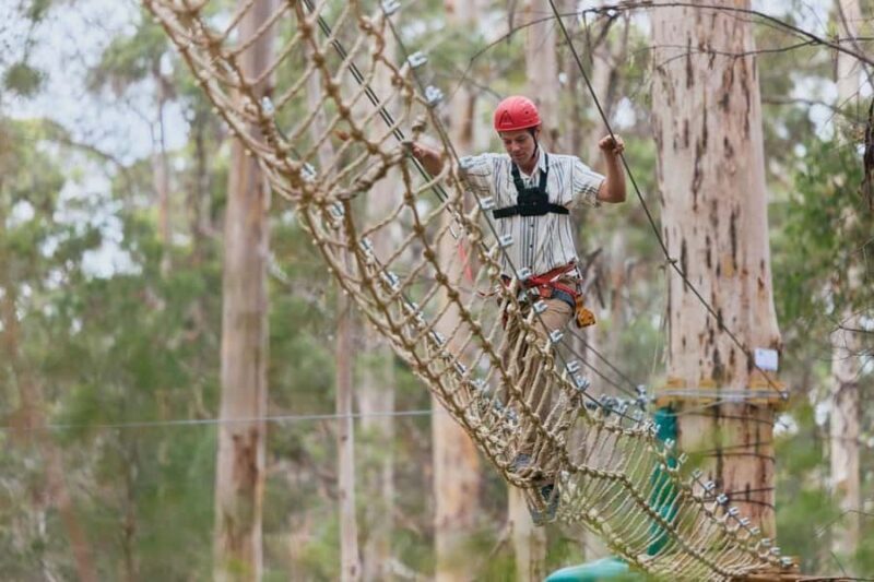 Pemberton: 2.5h Ultimate Ziplines & High Ropes Experience - An Overview of the Experience
