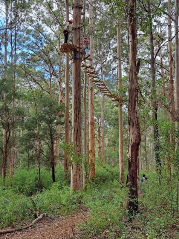 Pemberton: 2.5h Ultimate Ziplines & High Ropes Experience - Why Travelers Love This Experience