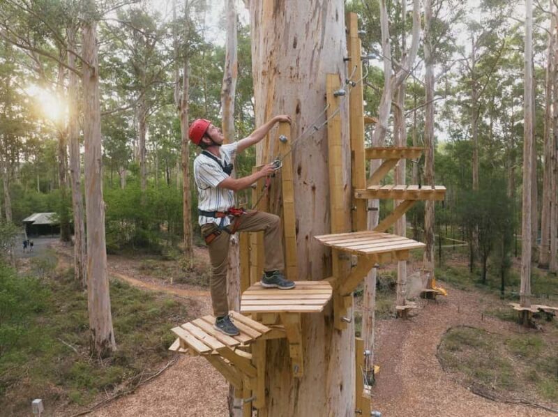 Pemberton: 2.5h Ultimate Ziplines & High Ropes Experience - Practical Considerations