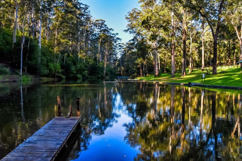 Pemberton: Secret Picnic Adventure with Digital Clues - Key Points