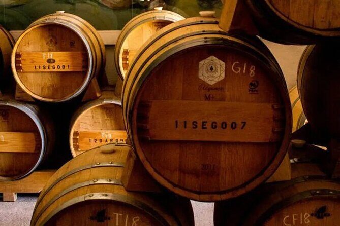 Pena de Bernal Tequisquiapan and wine - A Detailed Look at What Makes This Tour Special