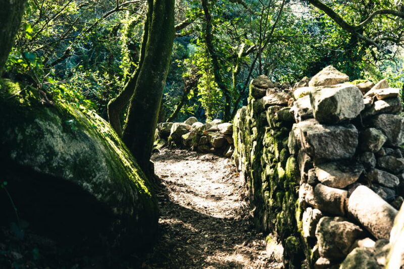 Pena Palace, Moorish Castle,Quinta ad Regaleira:Walking tour - Who Will Love This Tour?