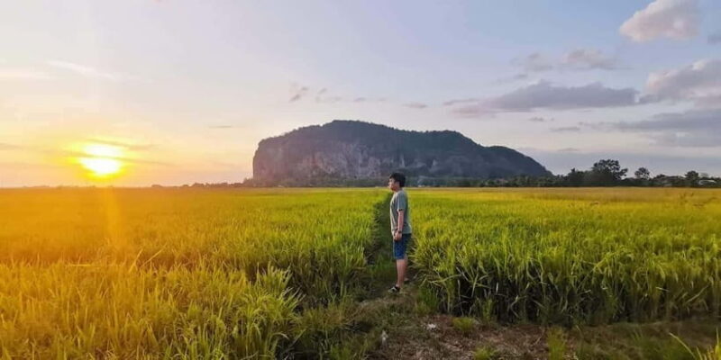 Penang:Full-Day Tour to Kedah with Local Guide and Driver - An In-Depth Look at the Kedah Full-Day Tour