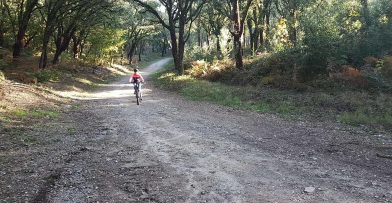 Peneda Gerês National Park: Self-Guided Electric Bike Tour - An In-Depth Look at the Peneda Gerês Electric Bike Tour