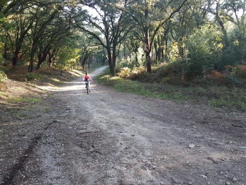 Peneda Gerês National Park: Self-Guided Electric Bike Tour - FAQ