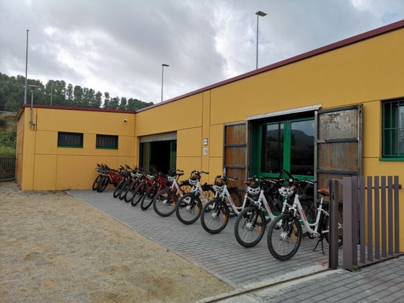 Penedès/Bcn: Self-Guided Ebike Tour With Guided Winery Visit - Experience Highlights