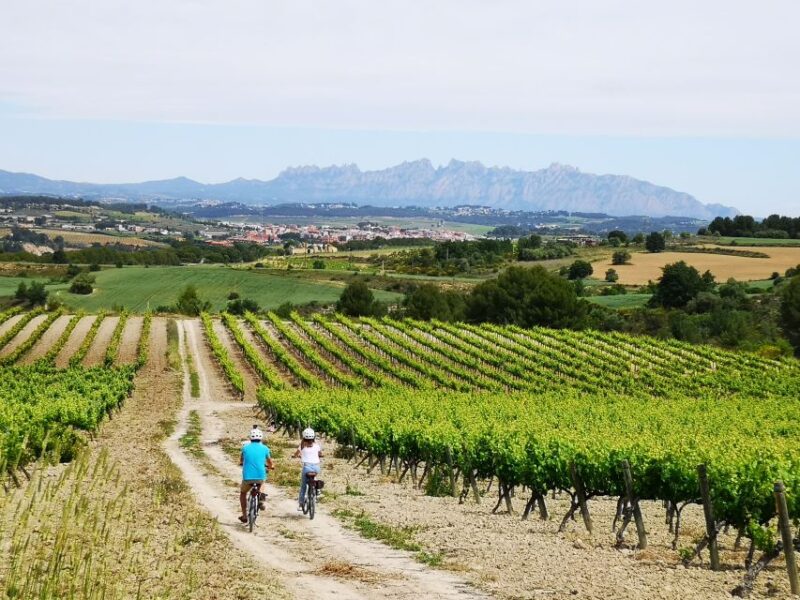 Penedès/Bcn: Self-Guided Ebike Tour With Guided Winery Visit - Meeting Point and Accessibility
