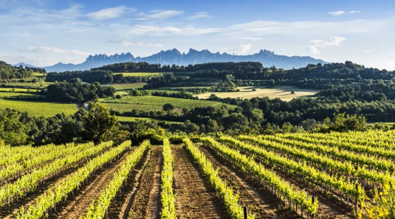 Penedès/Bcn: Self-Guided Ebike Tour With Guided Winery Visit - Inclusions and Equipment