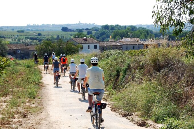 Penedès/Bcn: Self-Guided Ebike Tour With Guided Winery Visit - Customer Reviews