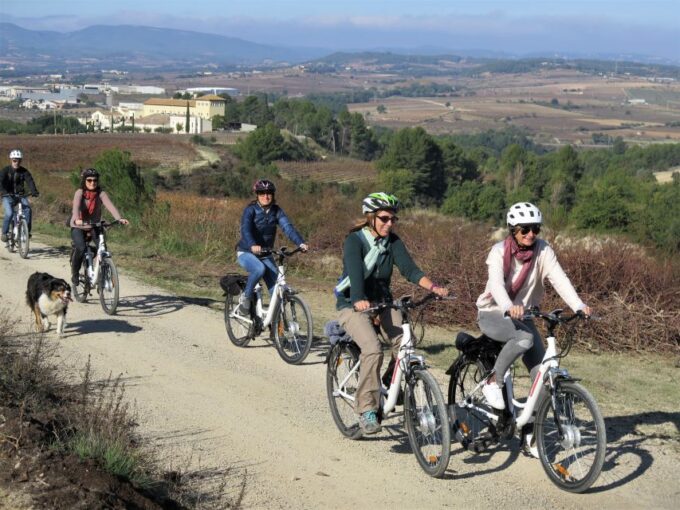 Penedès/Bcn: Self-Guided Ebike Tour With Guided Winery Visit - Frequently Asked Questions